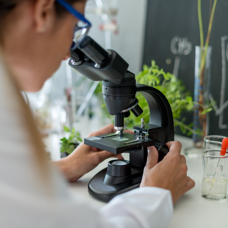 Geoscientist | Manitoba Start - Manitoba Start
